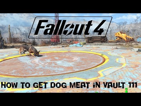 Fallout 4|How To Get Dog Meat In Vault 111