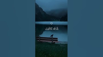 اكتب شيء تؤجر عليه ⧸⧸ القارئ هزاع البلوشي ❤️‍🩹😴