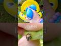 Toy Learning Fun | Kids Learn Bug Insect Names at the Bumblebee Pool: Grasshopper Rhino Beetle