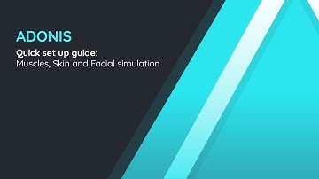 Adonis Quick Setup Summary: Muscles, Skin and Facial Simulation