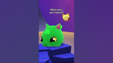 Which pet is your favorite? 🌟🐾