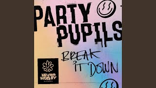 Video thumbnail of "Party Pupils - Break It Down"