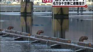 気仙沼で1メートルの津波を観測　宮城でも冠水被害（10/02/28）