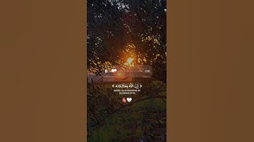 ان  الله وملائكته يصلون على النبي 🌸 #قران_كريم #تلاوات #تلاوة_خاشعة #قرآن
