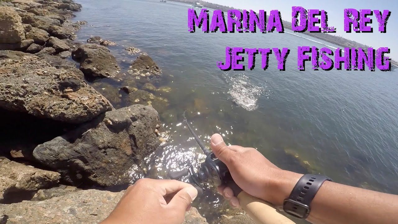 Spotted Bay Bass fishing at the Jetty in Marina Del Rey