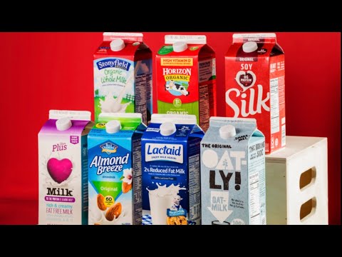 تصویری: کدام نوع شیر؟
