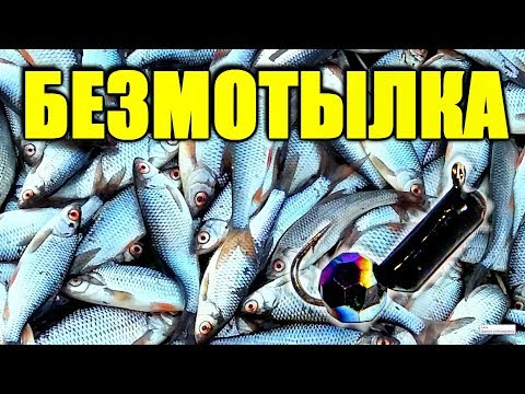 Безмотылка новичкам - ответ на важные вопросы! Виды оснащения. Особенности. Как выбрать.