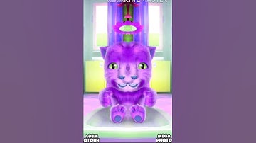 What am my Chinese in Has a Conga Busher