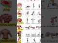 Bigger Arms in Minutes: 7-Min Biceps Workout for Quick Gains
