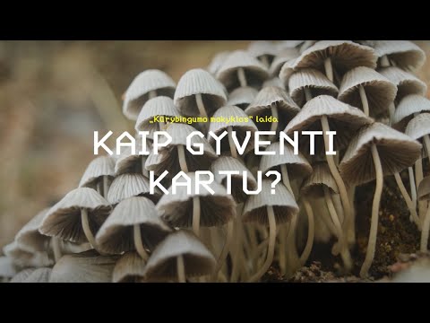 Video: Kaip fitoplanktonas gamina deguonį?