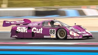 Group C Racing 2019/2020 Paul Ricard: Peugeot 905, Jaguar XJR12, Toyota 92CV, Lola T92/10 & More!