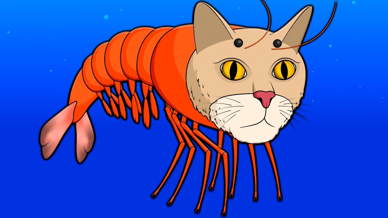 TRIPPI TROPPI ORIGIN STORY! Italian Brainrot Story of Transformation Cartoon Animation