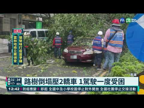 大雨害彰化路樹倒塌　郵差路過慘遭壓死｜#鏡新聞