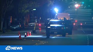 Arrest made in hit-and-run that killed mother and dog, injured daughter, SJ police say
