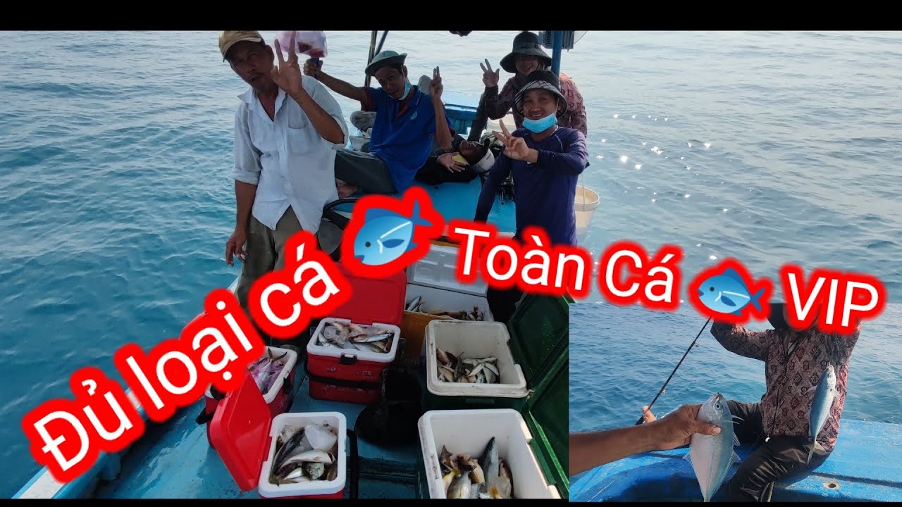 67 #... Cá 🐟 Róc Hương.. Cá Nục.. Đủ Loại Cá 🐟.. Toàn Cá VIP.... - YouTube