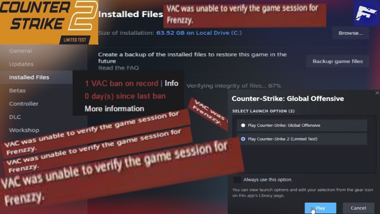 CS2 - VALVE PLZ FIX THIS?!?!?!!! (VAC was unable to verify the game ...