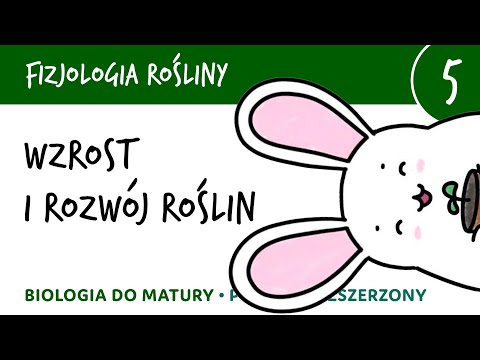 Wideo: Jak z nasion kiełkuje roślina?