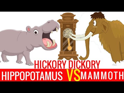 Hickory Dickory Dock Mammoth Vs Hippo Song Preschool Songs For Circle Time