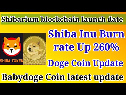 shibarium blockchain release date | shiba burn | brise update | babydoge coin update | doge coin