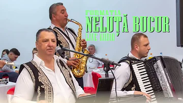 NELUTA BUCUR . Live Audio [ 2022 ]