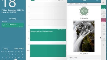 VigCal guide for iPad: Detail in editing mode
