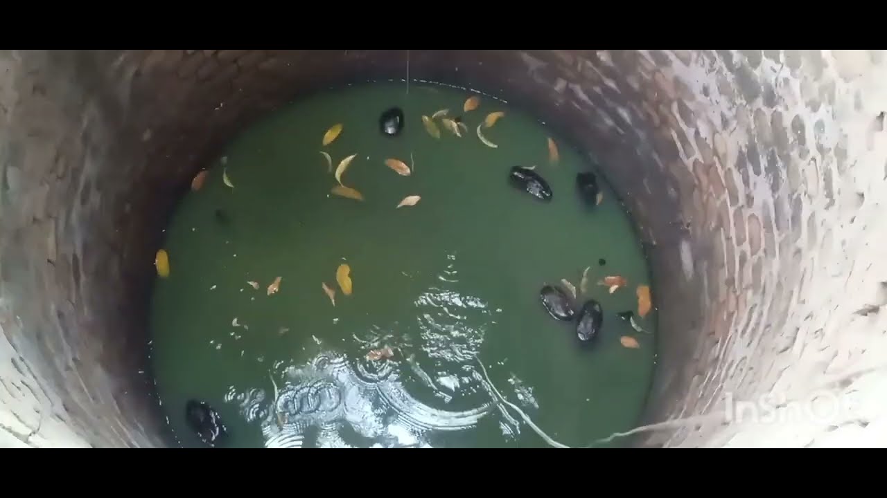 Achei um troféu antigo e um posso 