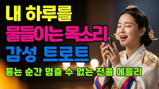 🌸오늘 하루를 물들이는 그대 목소리ㅣ계속 듣게 되는 감성 트로트 메들리ㅣ애절한 트로트ㅣ최신 트로트