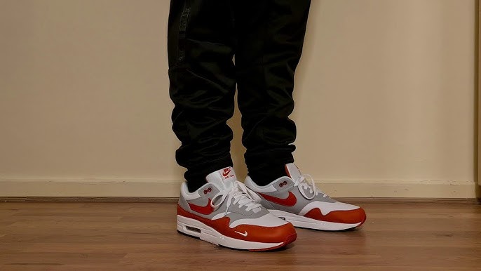 Air Max 1 Martian Sunrise Review & On Foot 