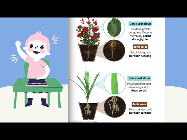 Sains Tumbuh Tumbuhan Tahun 1 Youtube