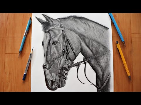 Sourav joshi sketch HD wallpapers | Pxfuel