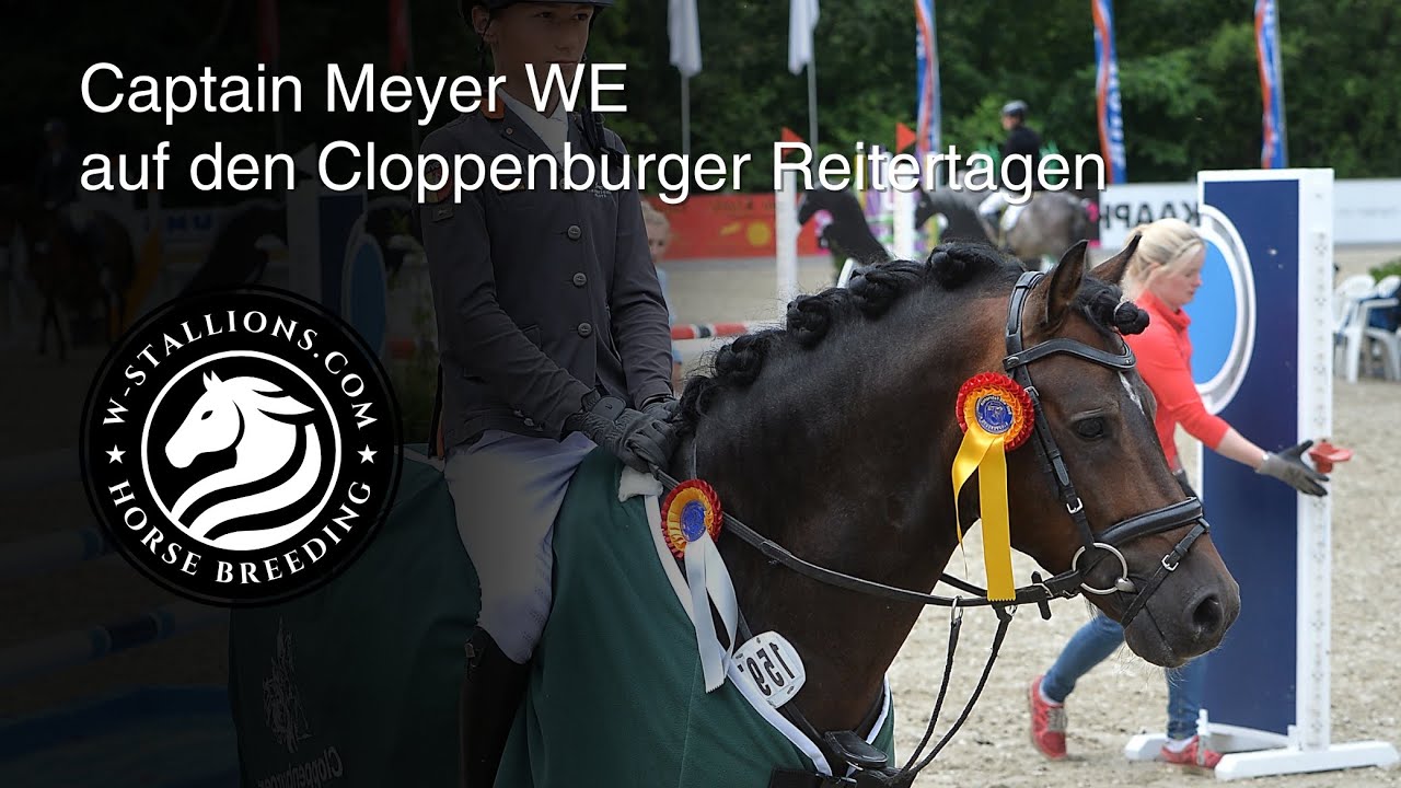 Captain Meyer WE siegt unter Calvin in der Qualifikation zum Bundeschampionat I W-STALLIONS.COM