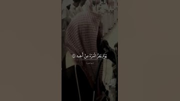 تلاوات من سورة عبس #محمد_اللحيدان #قرآن #تلاوة_خاشعة #reels