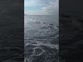 Сочи. Чёрное море. 30.01.2023 г.