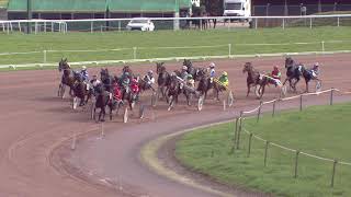 Vidéo de la course PMU PRIX DU CERVIN