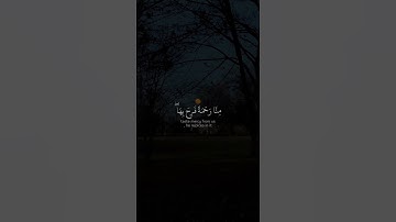 تلاوة تريح القلب  😪 حالات واتس آب 🖤. #1if_قرآن