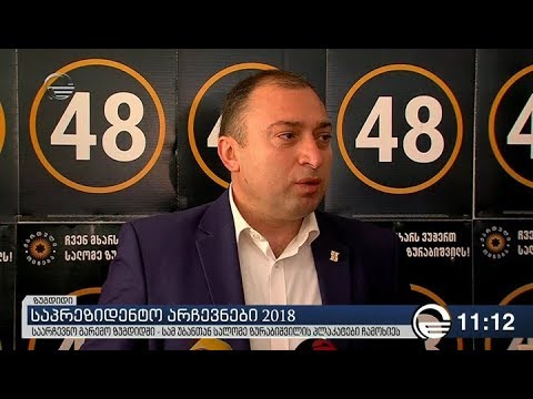 მურთაზ ზოდელავამ სალომე ზურაბიშვილის პლაკატები ჩამოხია