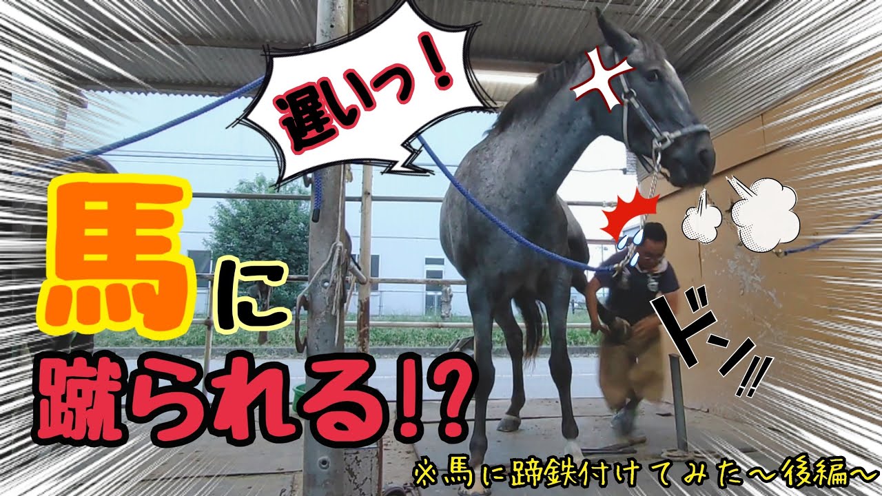 馬 に 蹴 られ て 死ぬ