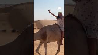 🐪 ДЕВОЧКА против ВЕРБЛЮДА: кто ПОБЕДИТ?