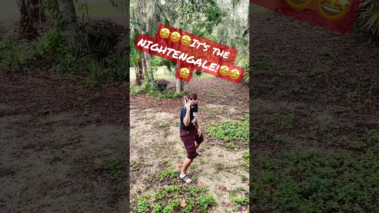 Worker Nightingale 🎯 