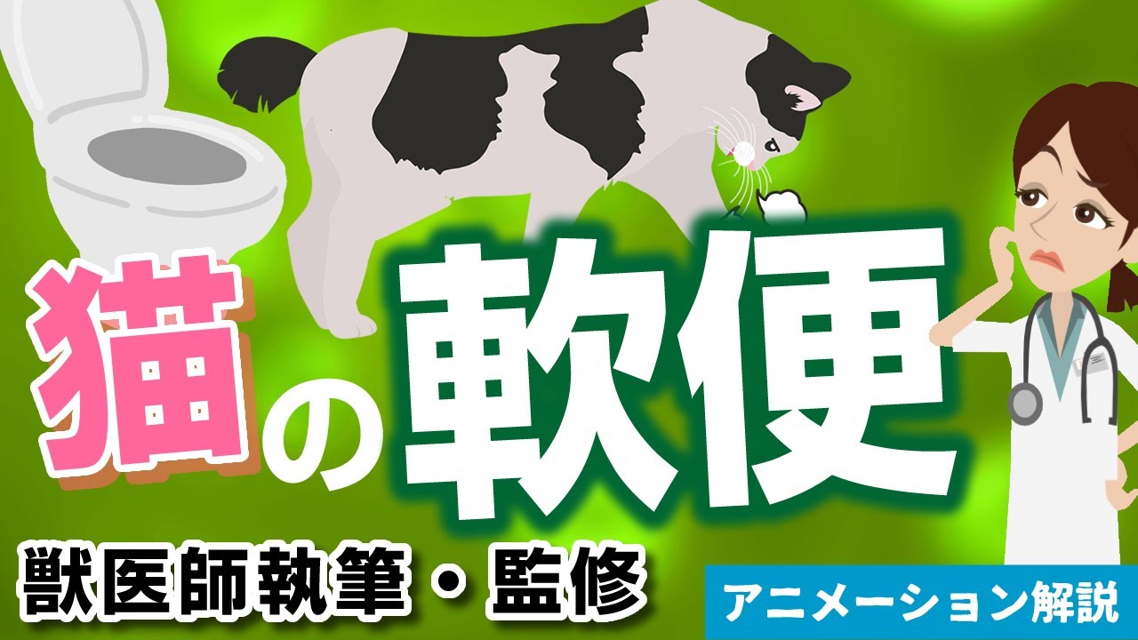 猫の軟便の症状について【獣医師執筆監修】症状から治療方法まで