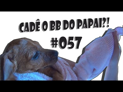 #NA ROTINA 57 (dando banho no BOB)