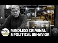 America’s Epidemic of Mindless Criminal and Political Behavior | Wonder Land: WSJ Opinion