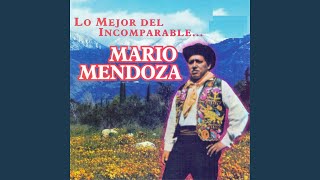 Video thumbnail of "Mario Mendoza - Linda Chiquiana"