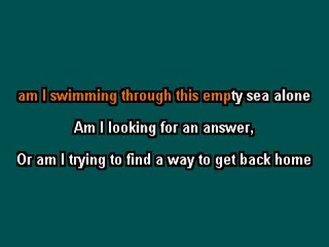 Secondhand Serenade -  Is Anybody out There - clay wood karaoke