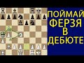 ♕ПОЙМАЙ ФЕРЗЯ СОПЕРНИКА УЖЕ В ДЕБЮТЕ. Шахматы ловушки