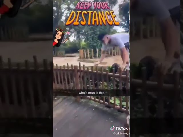VIDEO: Un joven salta al recinto de los rinocerontes de un zoológico solo  para hacer una voltereta y publicarla en TikTok - RT