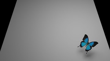 Butterfly Animation - 3ds Max | MCT | Daffodil International University