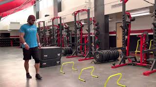 Hurdle hops to box jump