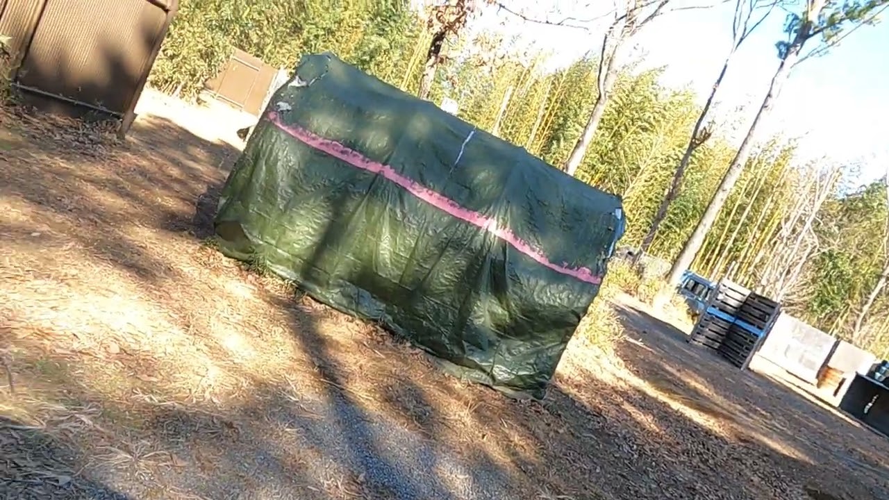 初心者さんのフラゲ