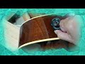 D'Addario PW AJL 01取付方法